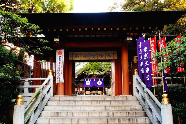 東京ならここへ！東京大神宮の結びのちからをいただこう！