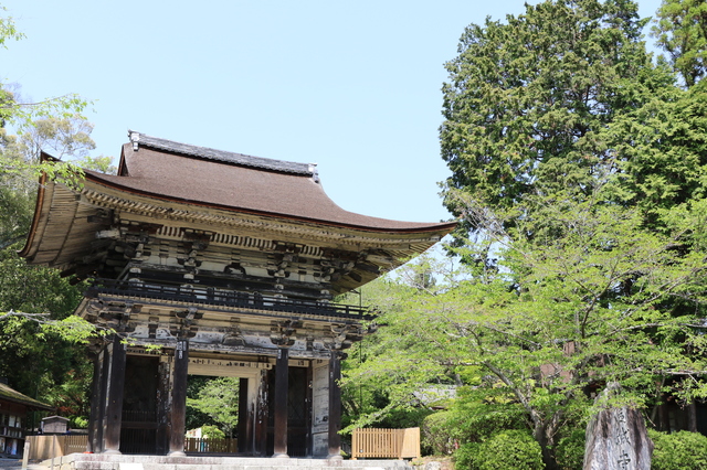 『西国三十三箇所巡礼』～日本で一番古い巡礼の旅に触れる！～