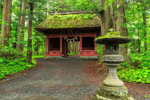 長野旅行では絶対欠かせない！　戸隠神社で神秘的な空気に癒されよう！！