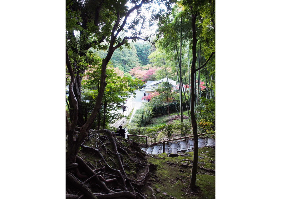 京都最強のお地蔵様！　鈴虫寺で”たったひとつだけ”お願いをしよう！！