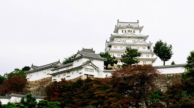 城を築くには？まずは城郭の縄張りから