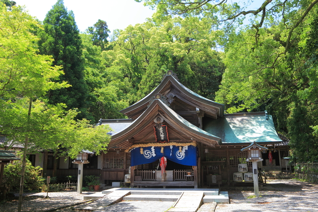 全国に点在する若宮八幡宮とはどんな神社？