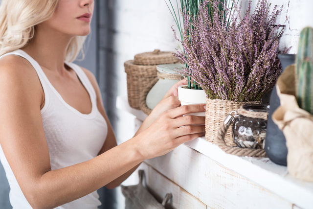 こんな植木鉢がほしい！植木鉢が進化しているのを知っていますか？