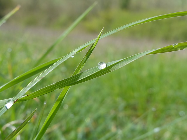 春雨には人生の奥深さを織りまぜてみたい