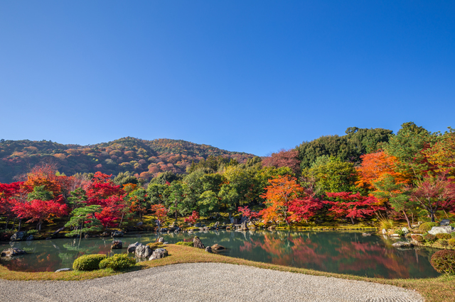 嵐山「天龍寺」室町時代の二大スターにより開かれた世界文化遺産の絶景とは