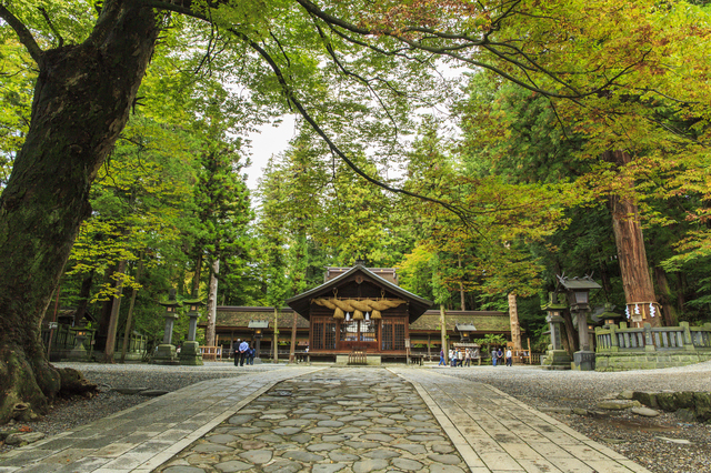 諏訪神社が全国に多い納得の理由。武田信玄との繋がり