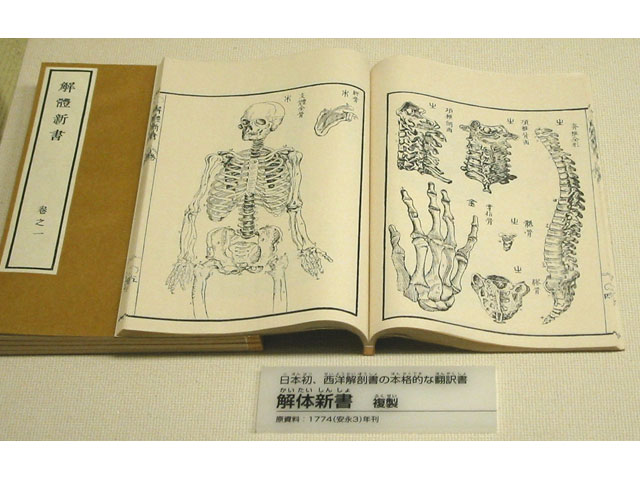 『解体新書』の西洋医学が日本に与えた衝撃とは