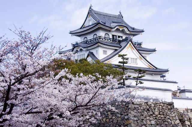 犬走りの代表的な城「岸和田城」