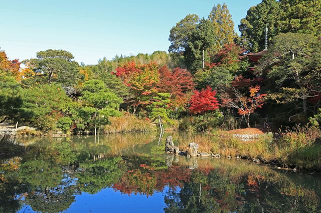 極楽世界をこの世に表わす浄瑠璃寺の庭園