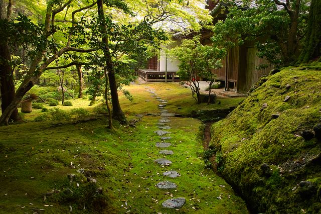 西芳寺に現在も息づく夢窓疎石の禅宗観