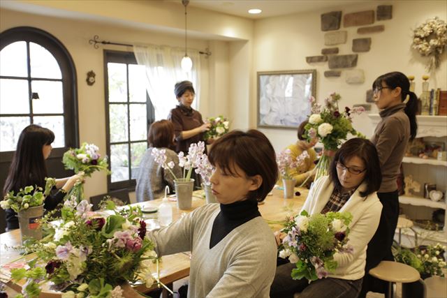 私の好きなお花「フランネルフラワー」 ブレーメンフラワー