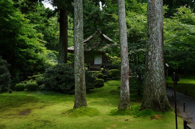 大原三千院は皇室とゆかりの深い門跡の祖