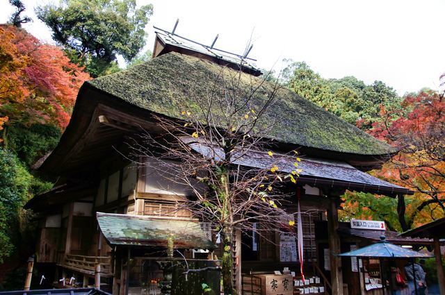 大興善寺は四季折々の花や紅葉が美しい古刹