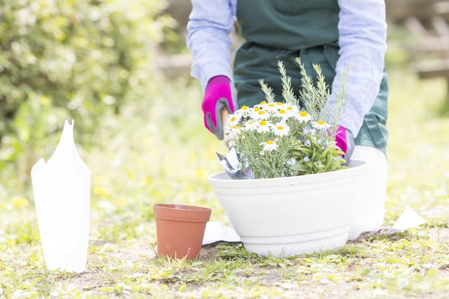 寄せ植えのコツは？寄せ植えをする際に注意をしたいこと