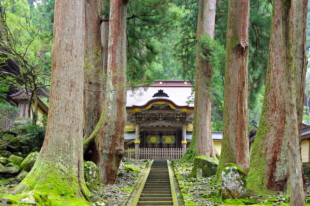 今年の初夏は魅力あふれる永平寺に出かけよう〜曹洞宗大本山で座禅の修行から、日本唯一のハープ専門メーカー、「男はつらいよ」の舞台まで〜