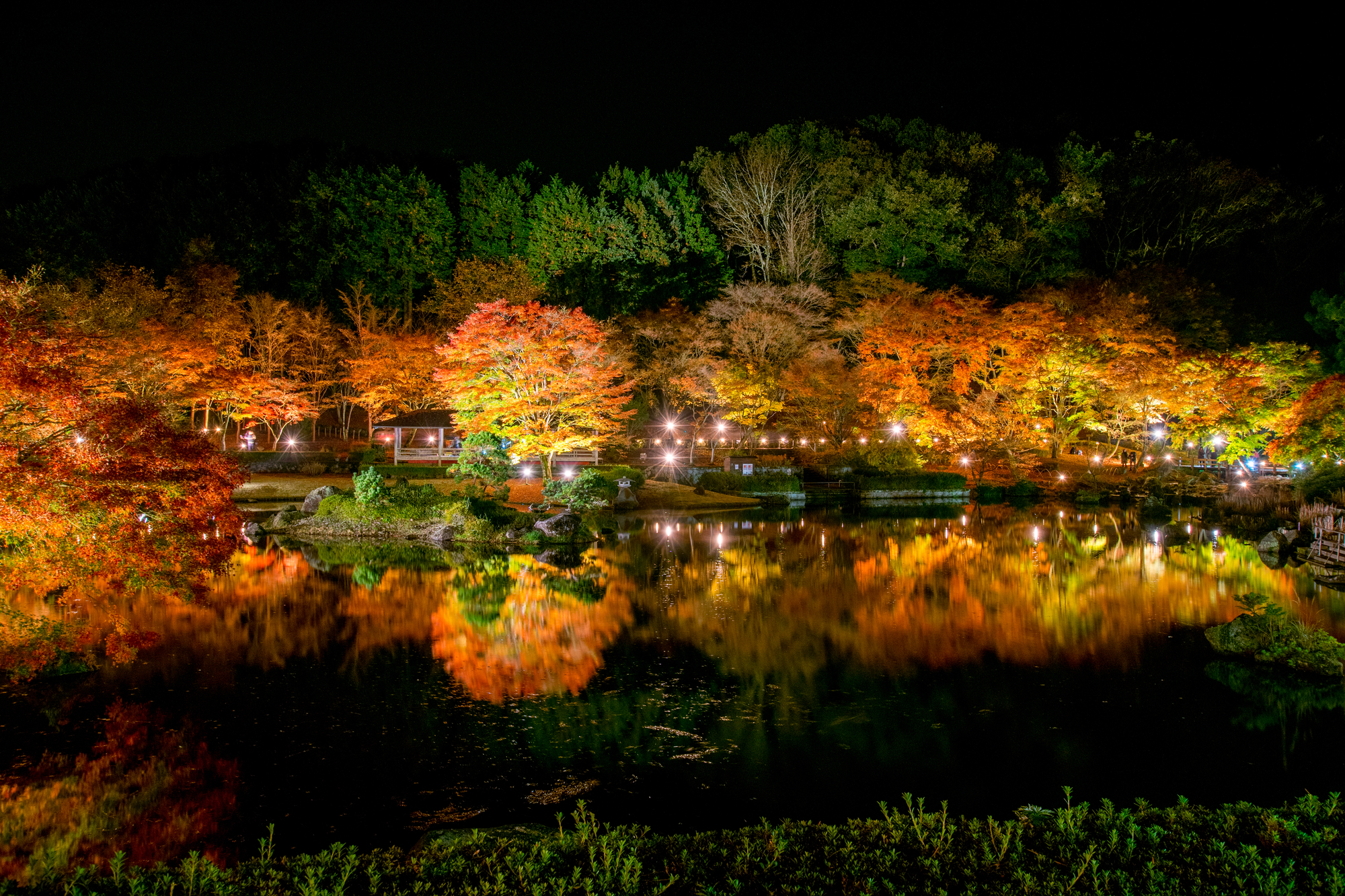 虹の郷の鮮やかな紅葉に魅せられる修善寺観光 〜伊豆の小京都を散策〜