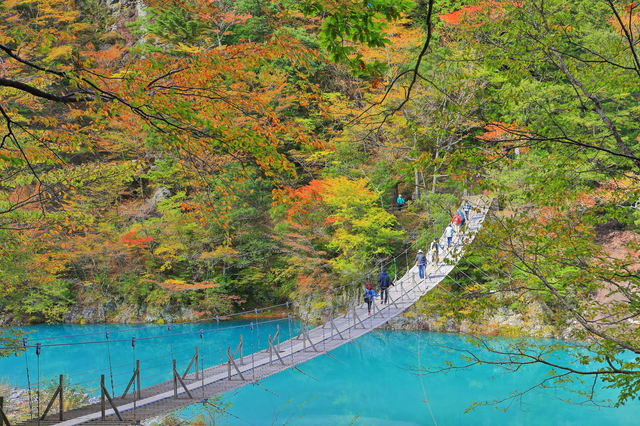 秘境・寸又峡へ絶景の紅葉を観に行こう 夢の吊橋からの幻想的な光景も