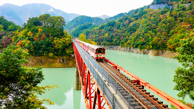 湖に浮かぶ小さな駅・奥大井湖上駅で紅葉の絶景を堪能