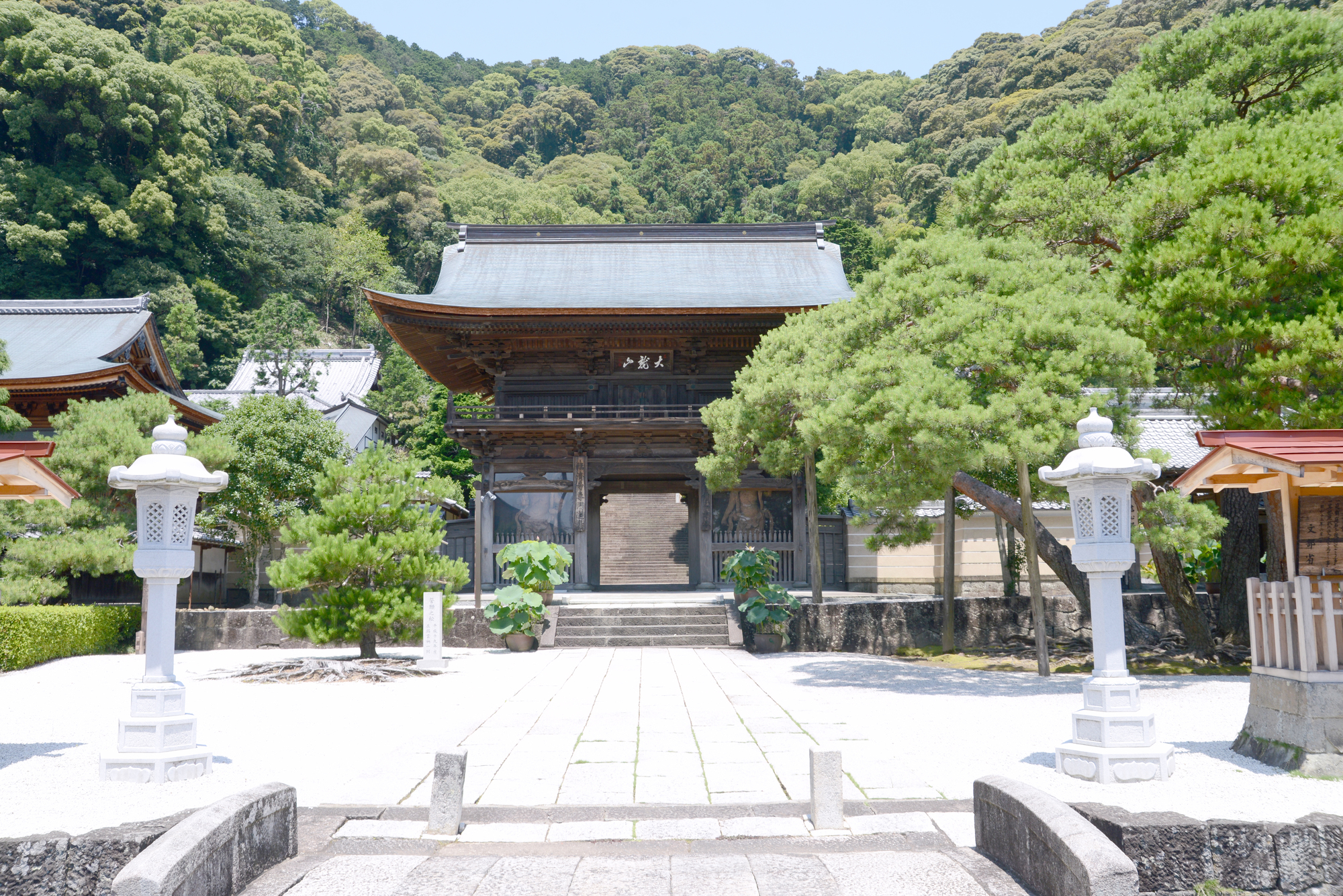 10月15日に特別公開あり！ 今川氏の菩提寺、臨済宗妙心寺派の「臨済寺」を訪ねる