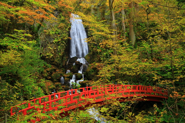 まるで絵画のよう！ 岩手県・不動の滝で深い緑と幻想的な滝が織りなす絶景を眺める