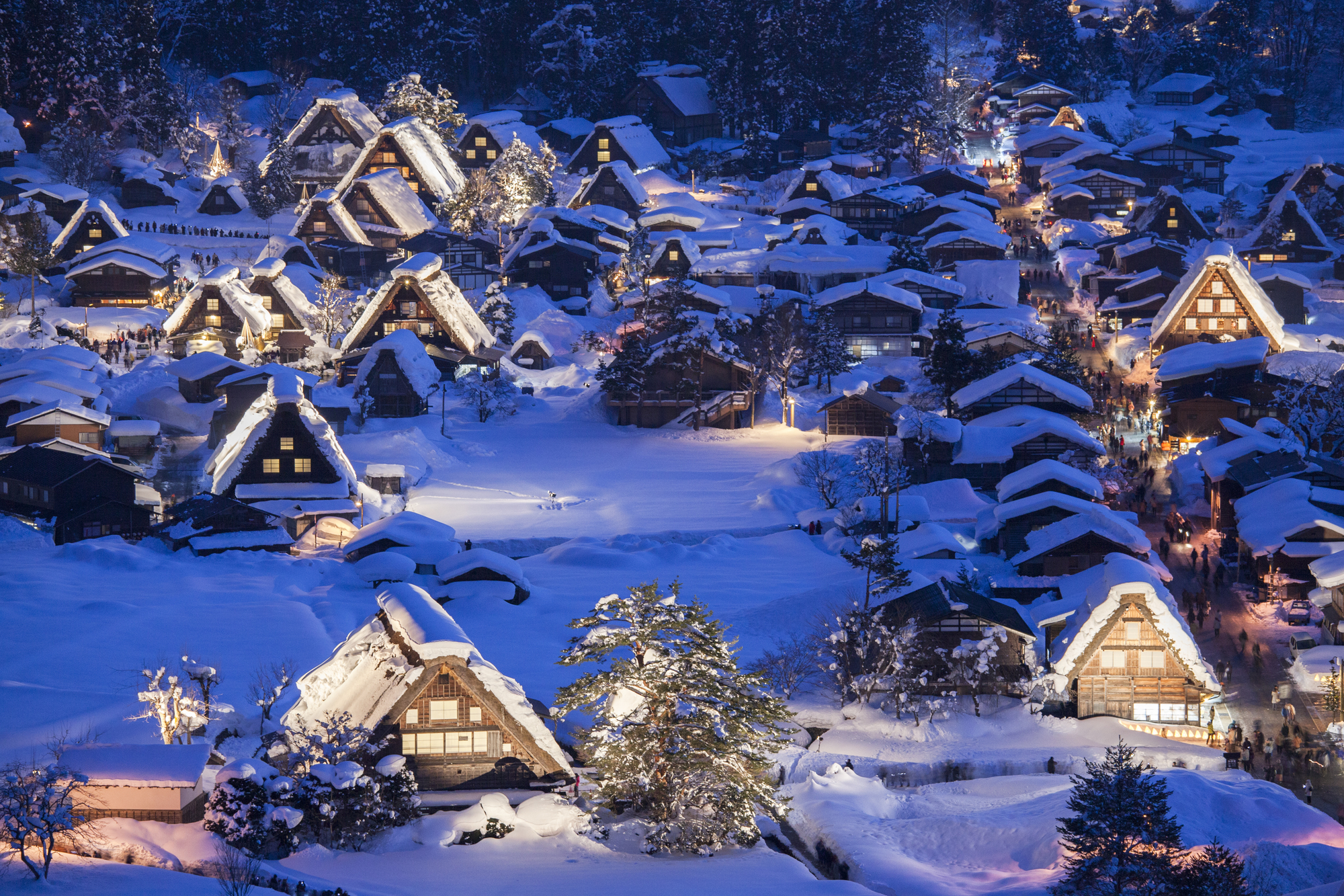 幻想的な雪景色が広がる冬の白川郷へ 世界遺産の絶景と名所を巡る旅