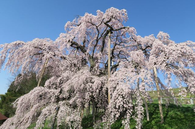 圧巻の意味・使い方