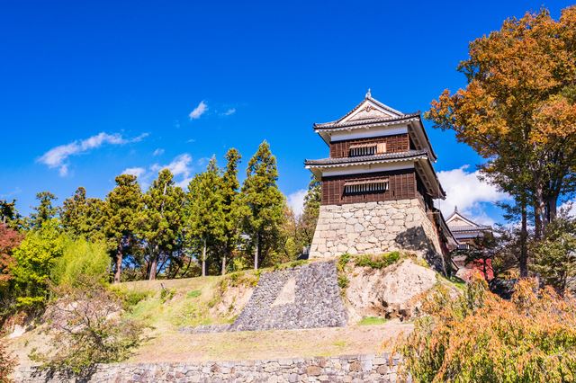 【上田城・田中城】城は地形に合わせて縄張を工夫するもの！