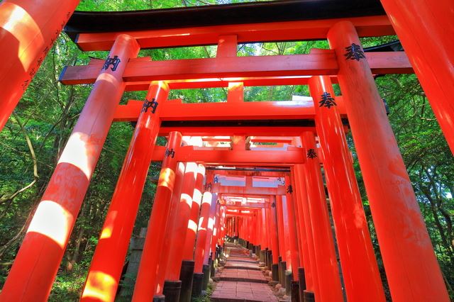 美しさを感じる神社≪厳選5社≫