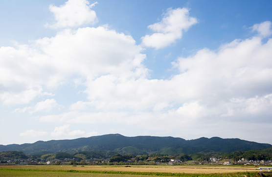 ちゃんぽん・皿うどんだけじゃない！？長崎県は日本酒の美味しい宝庫だった！