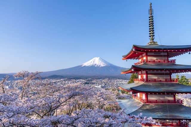 桜　まるで絵葉書のよう！新倉山浅間公園で残雪の富士山と桜のコラボレーションを堪能