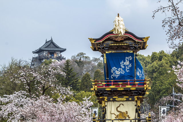 行事　満開の桜とからくりの妙技を観に「犬山祭」へ　提灯が織りなす幻想的な夜景も必見