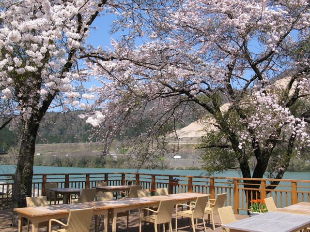 新潟県の中で豊富な湯量を誇る咲花温泉