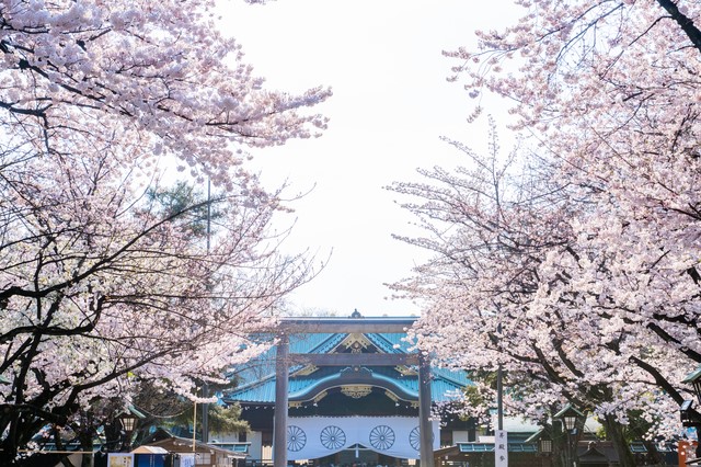 東京の桜の標本木も！ 言わずと知れた桜の名所「靖國神社」で春の訪れを祝おう