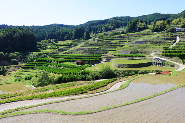 温泉　里山の風景と極上露天風呂が楽しめる福岡・星野温泉「池の山荘」へ