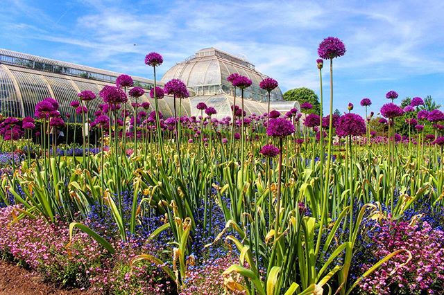 700万種の植物ロンドンが誇る世界遺産キューガーデン