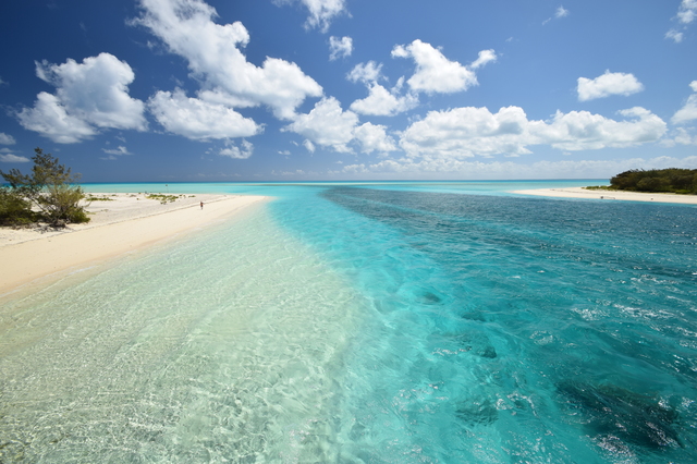 「天国に一番近い島」ニューカレドニアへ　青い海と大自然の絶景、絶品グルメに感動